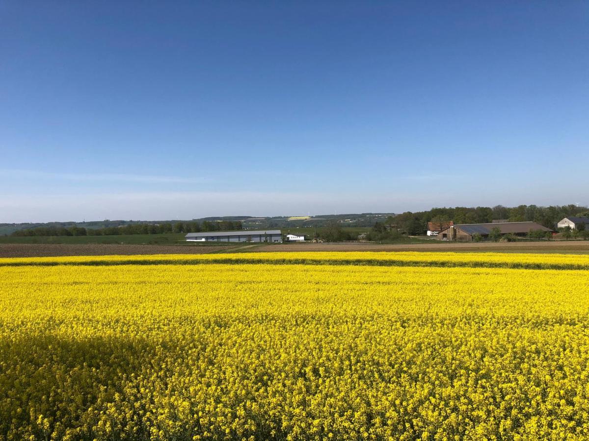 Appartamento Ferne Und Weite Im Sauerland Blick Ueber Das Ruhrtal Barge Esterno foto